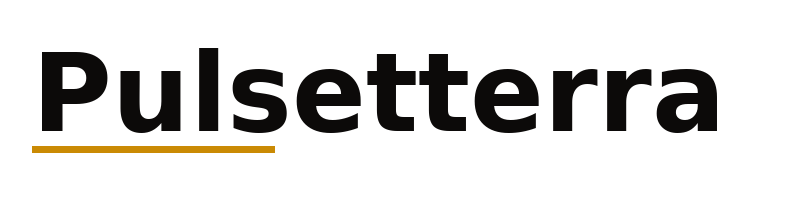 Pulsetterra logo